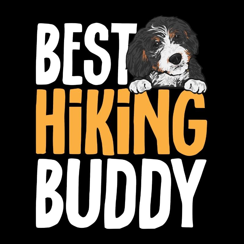 Bernedoodle Hund