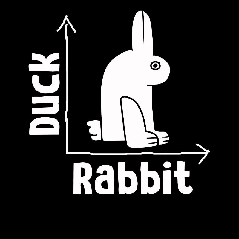 Wittgenstein lapin canard illusion