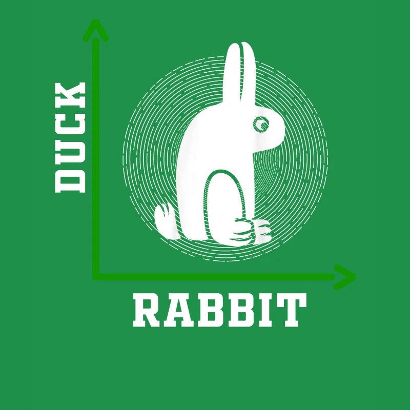 Wittgensteins Rabbit Duck Illusion