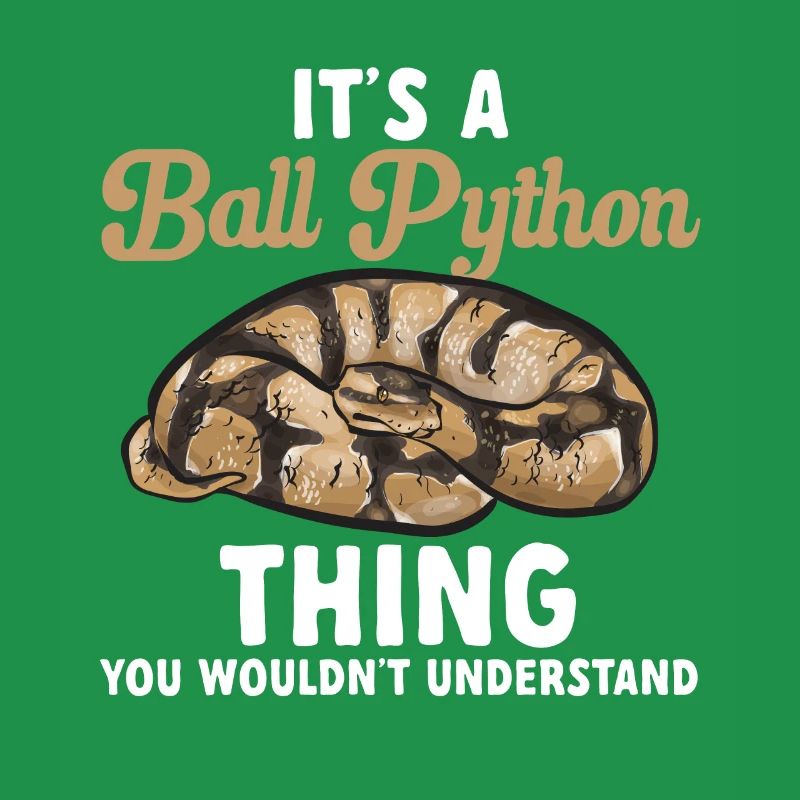 Ball Python Schlange Königspython