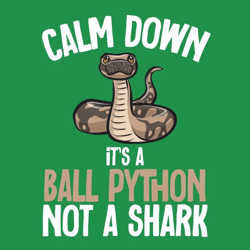 Ball Python Schlange Königspython