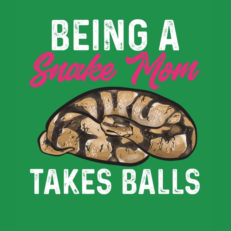 Ball Python Schlange Königspython