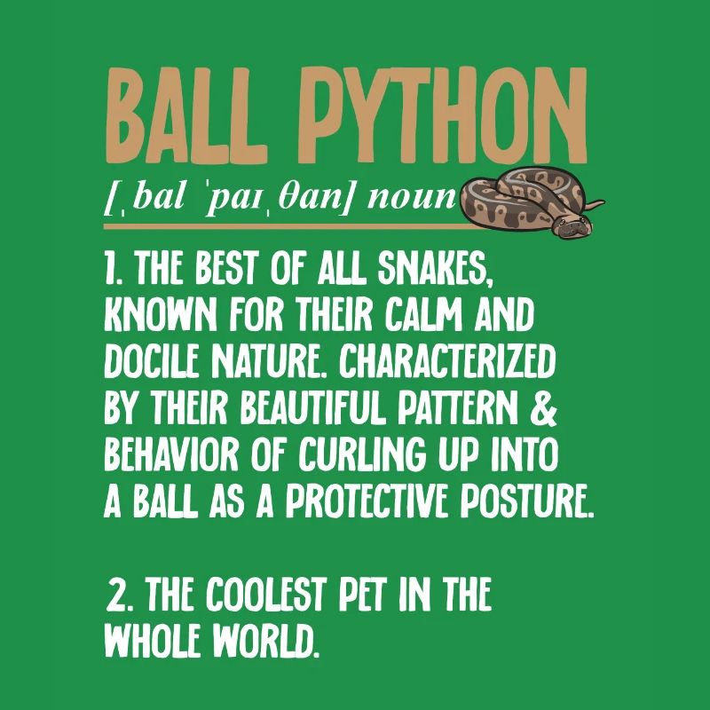 Ball Python Snake King Python
