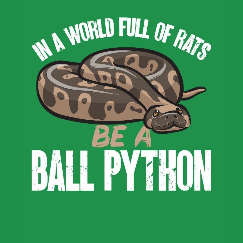 Ball Python Schlange Königspython