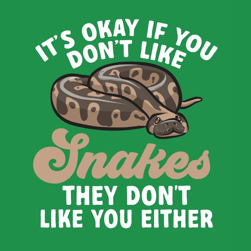 Ball Python Schlange Königspython