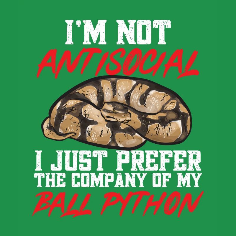 Ball Python Schlange Königspython