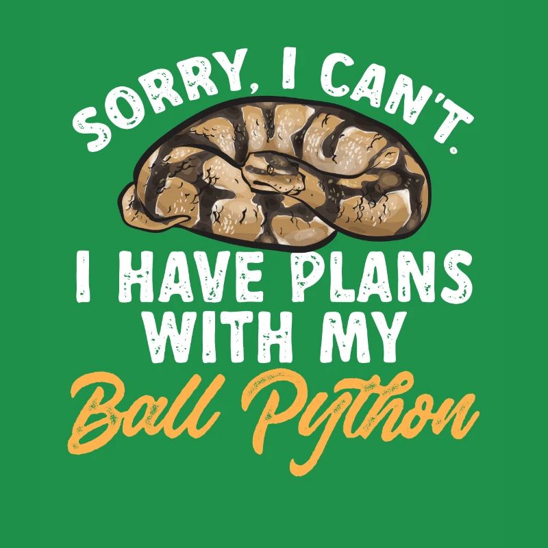 Ball Python Schlange Königspython