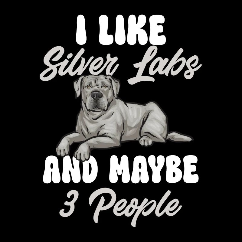 Silver Labrador Retriever Silver Lab