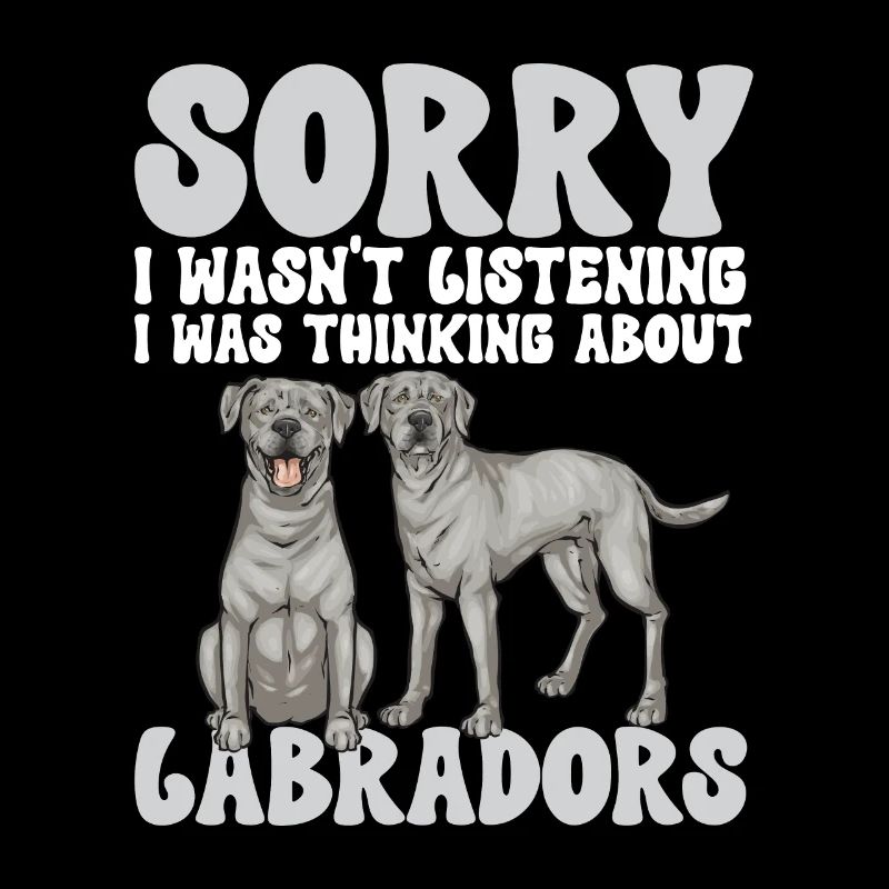 Silver Labrador Retriever Silver Lab