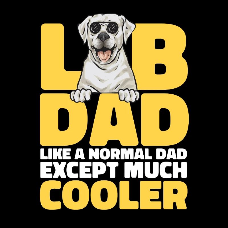 Labrador Retriever blanc Labrador Labrador blanc