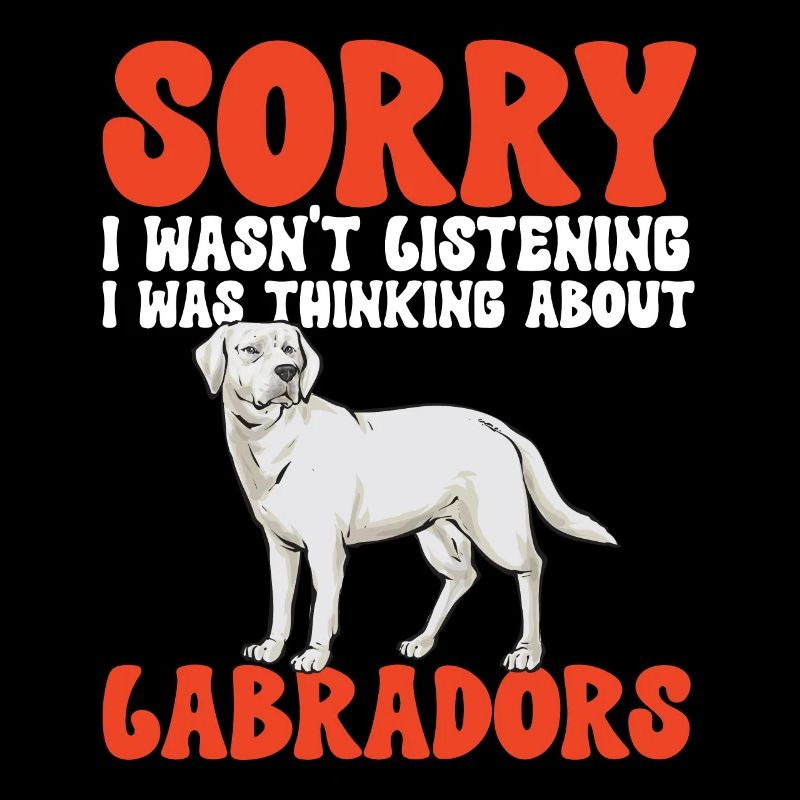 Labrador Retriever blanc Labrador Labrador blanc