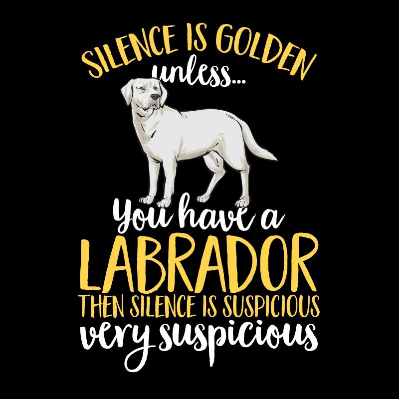 Labrador Retriever blanc Labrador Labrador blanc