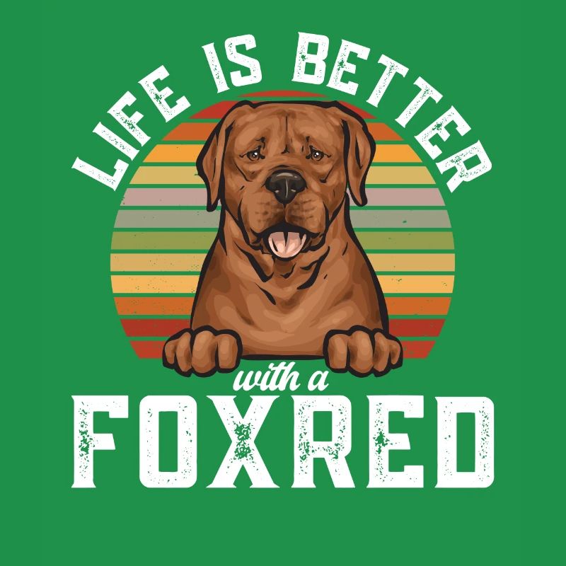 Fuchsroter Labrador Retriever Fox Red Labrador