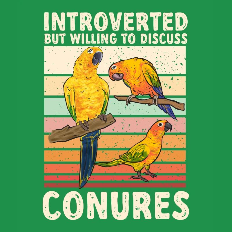 Perruche, Perroquet, Perruche, Oiseau