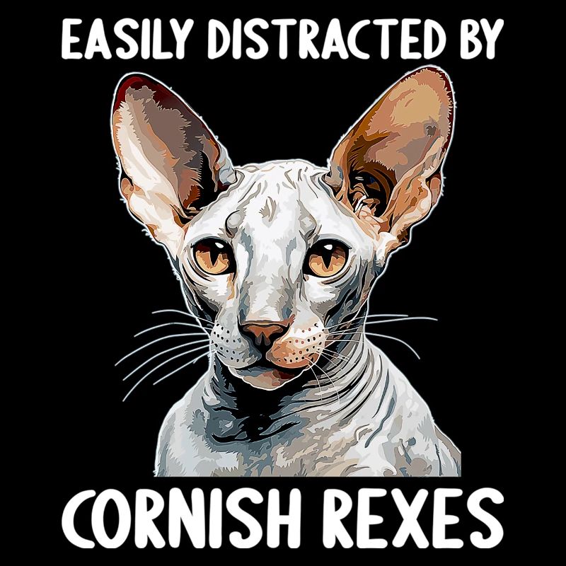 Cornish Rex Facilement distrait par les Cornish Rex