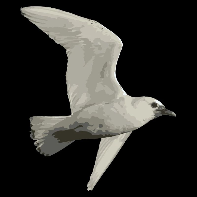 Oiseau