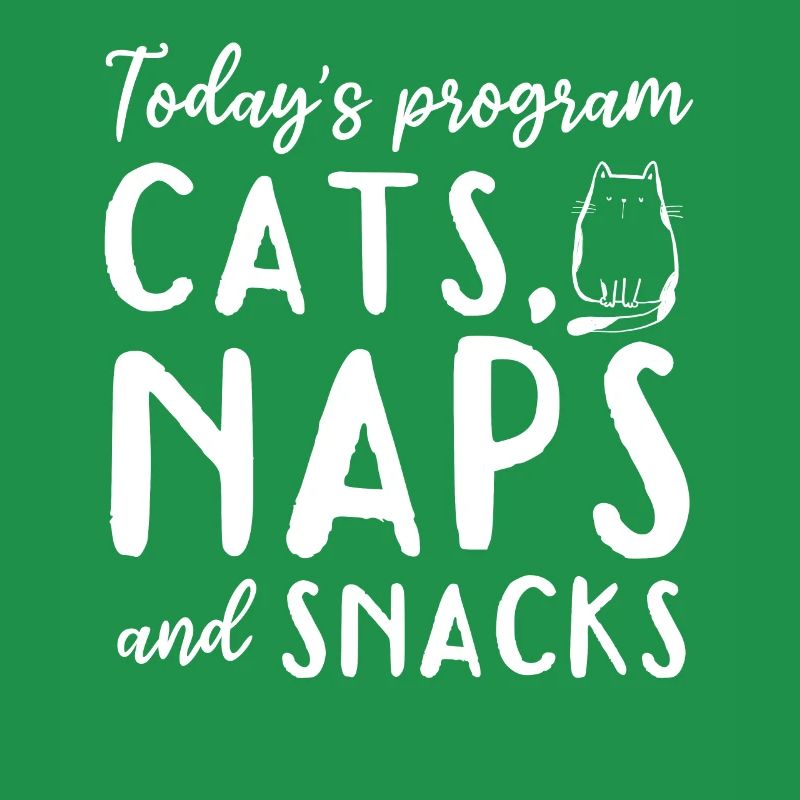 Funny Cat I Today's Program Cat Nap