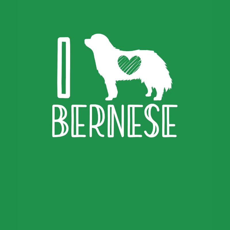 Bouvier bernois