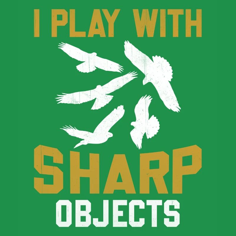 Falconer I Play With Sharp Objects