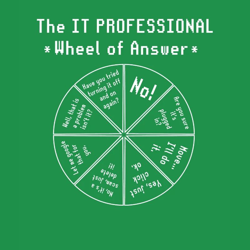 The IT Professional Computer Software Programmer