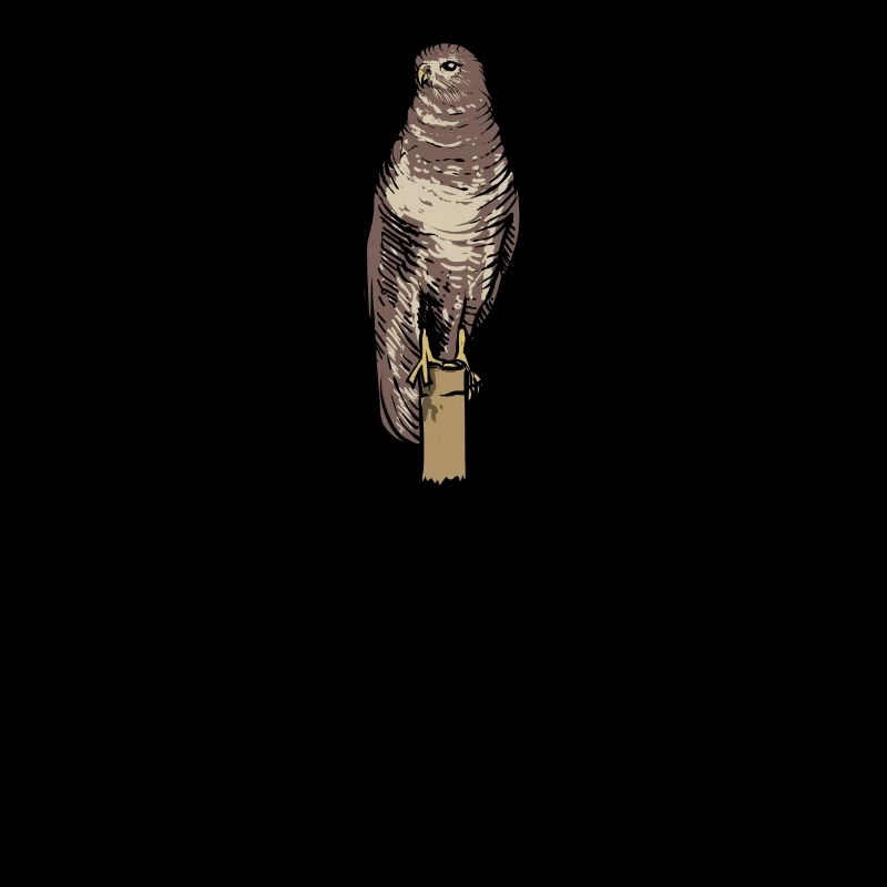 Buizerd I Roofvogel Buizerd Motief voor
