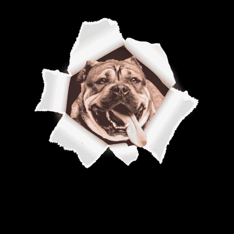 Dog peeking through hole