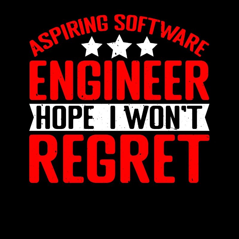 Aspiring Software Engineer, Hope I Won't Regret 2