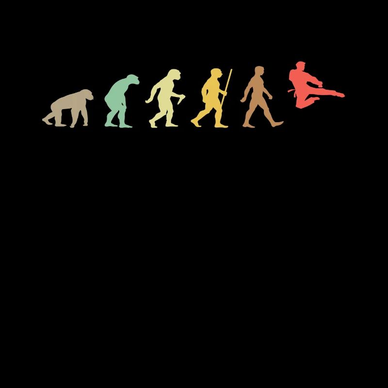 Vintage Taekwondo Retro Martial Arts Evolution