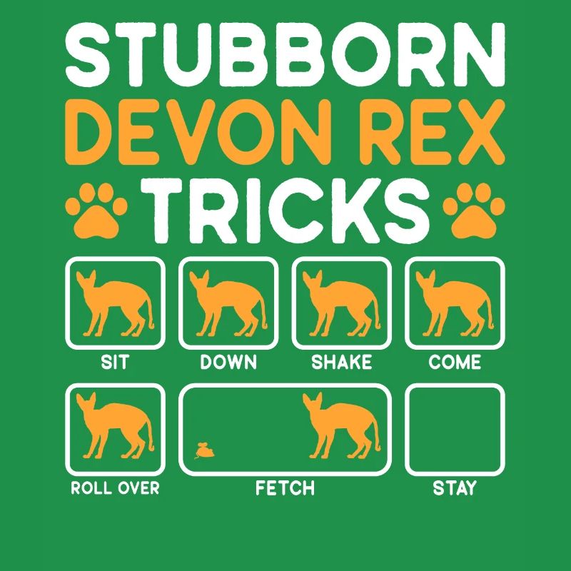 Stubborn Tricks Devon Rex Cat