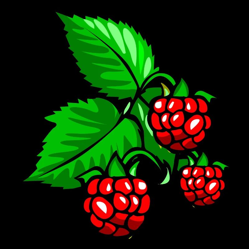 raspberries