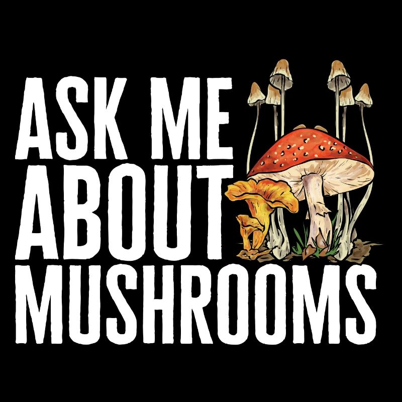 Cueillette de champignons Cueillette de champignons Cueillette de champignons