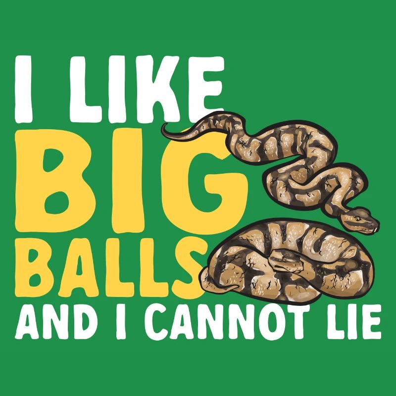 Ball Python Schlange Königspython