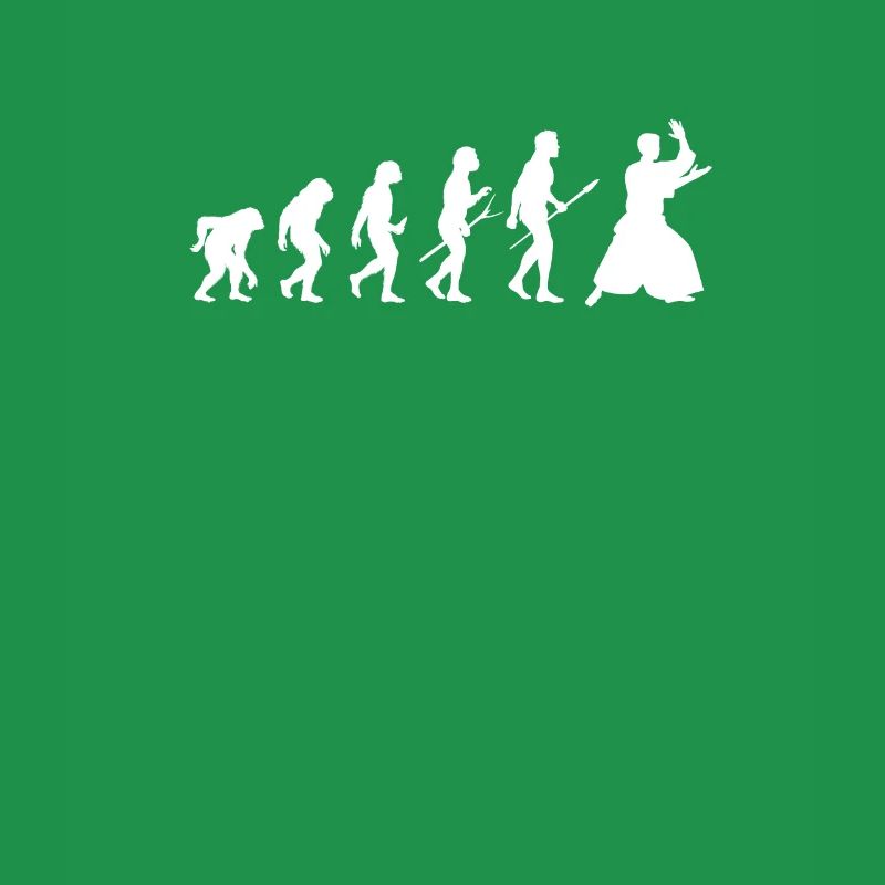 Aikido Evolution Martial Arts Martial Arts Gift