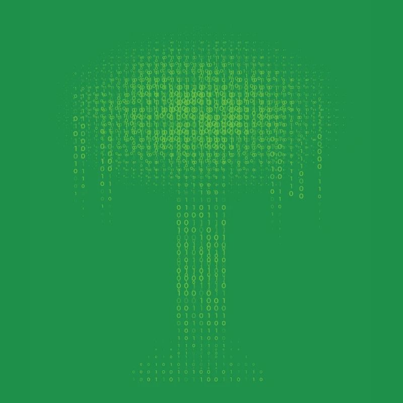 Binary Tree Encoding Computer Programmer