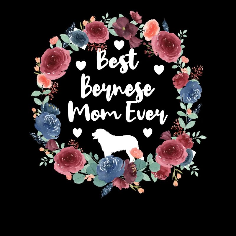 Bouvier bernois Mama propriétaire d'un bouvier bernois