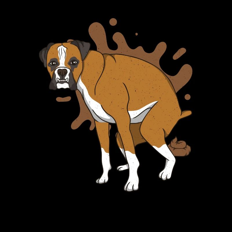 Deutscher Boxer kackt Kackhaufen