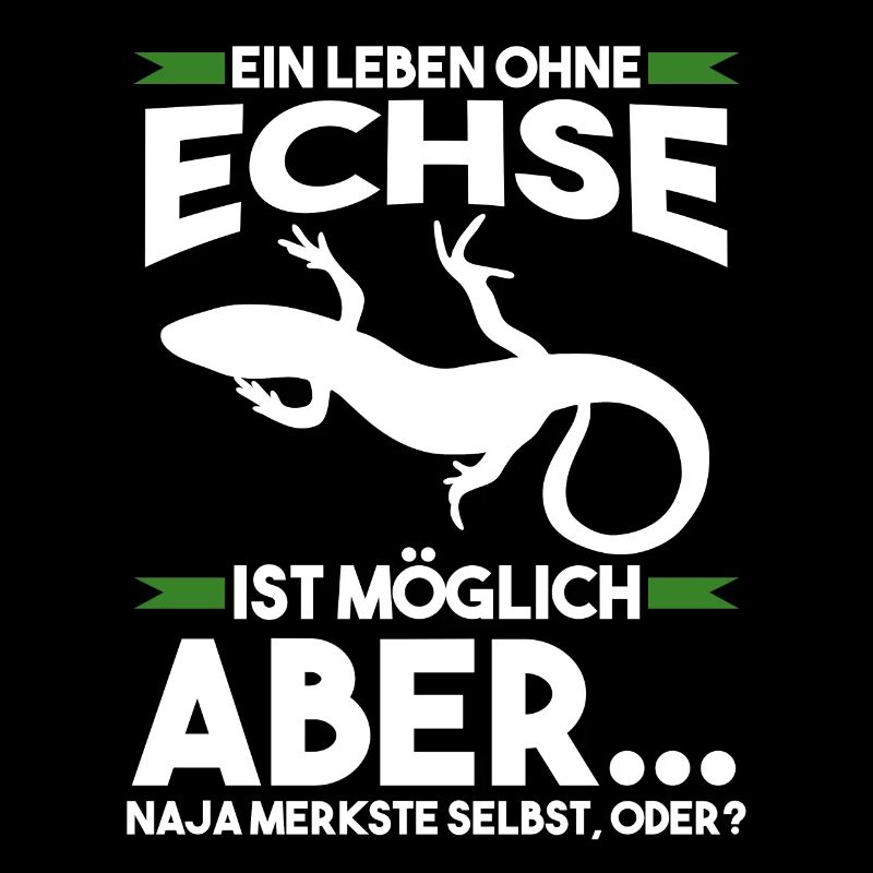 Terrarium Echse Echsen