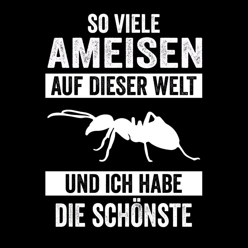 Ameisen Ameise