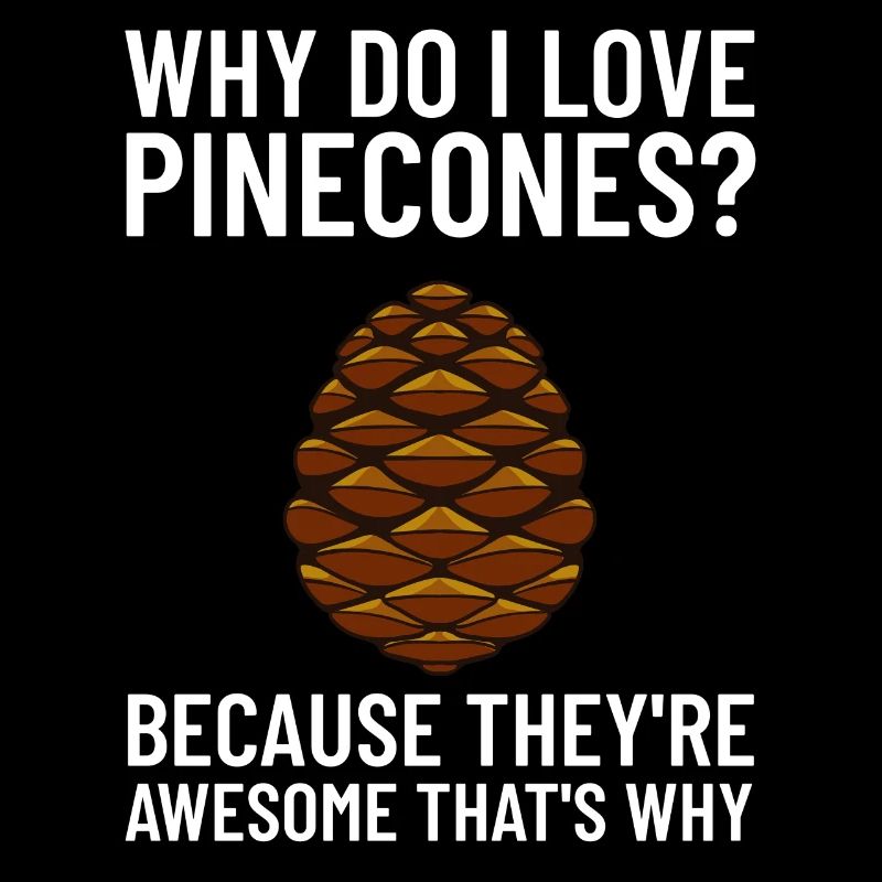 Pine cones Pine cones Pine cones Cones