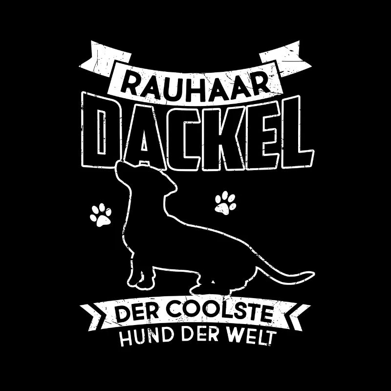 Dackel Rauhaardackel, der coolste Hund der Welt