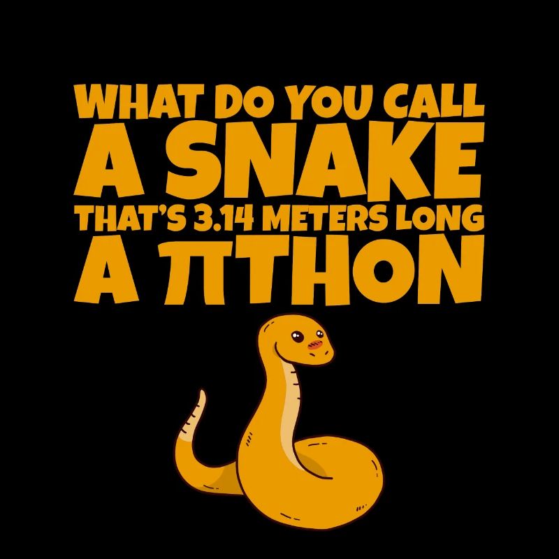 Un serpent de 3,14 mètres de long, un Pithon 2