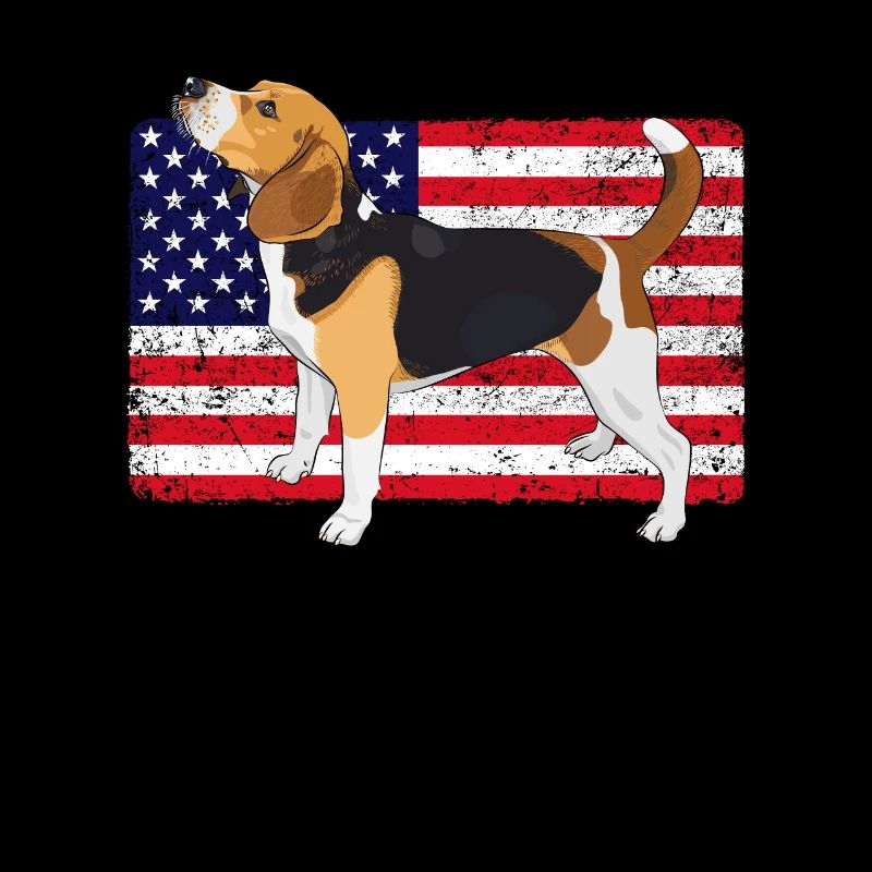 Drôle de cadeau Beagle