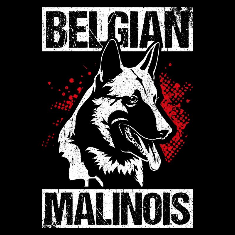 Belgian Malinois Hunde