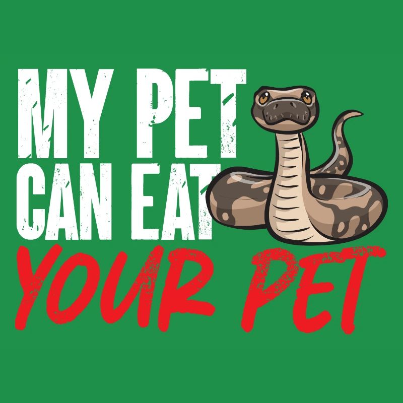 Ball Python Schlange Königspython