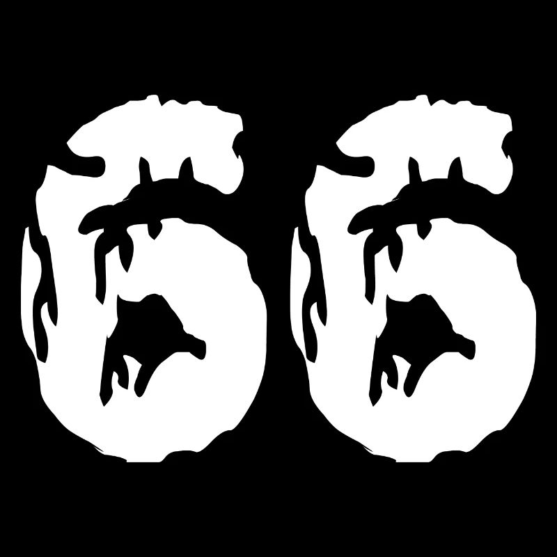 Maillot 66 numéros