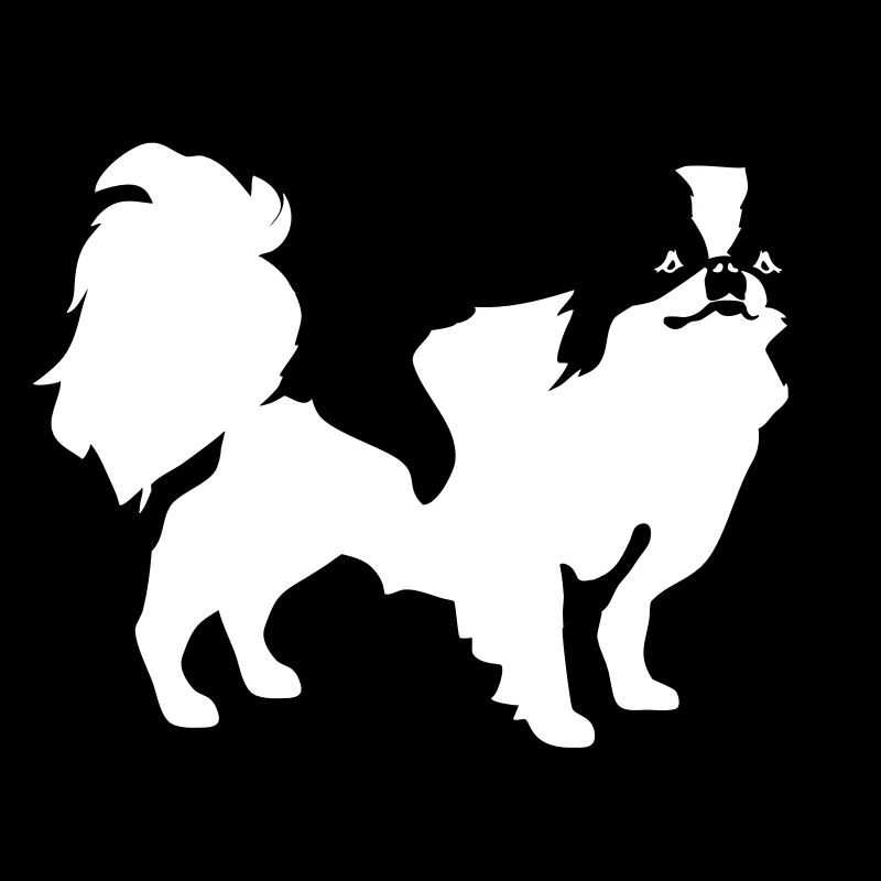 Japanese Chin