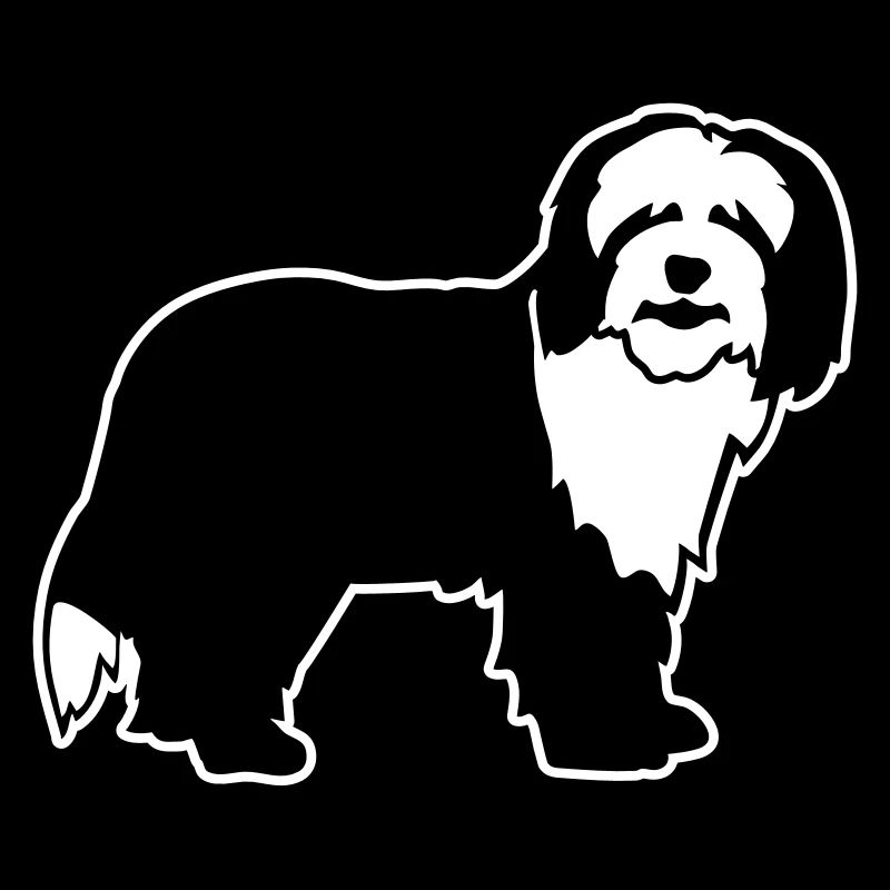 Bearded Collie