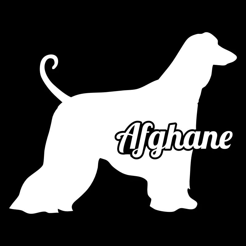 Afghanischer Windhund