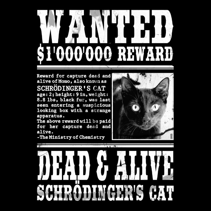 le chat de schrödinger blanc