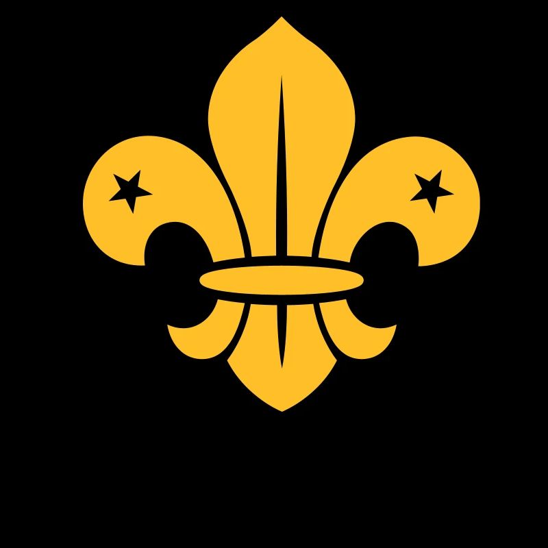 Scout - Scouting